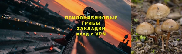 МДПВ Аркадак